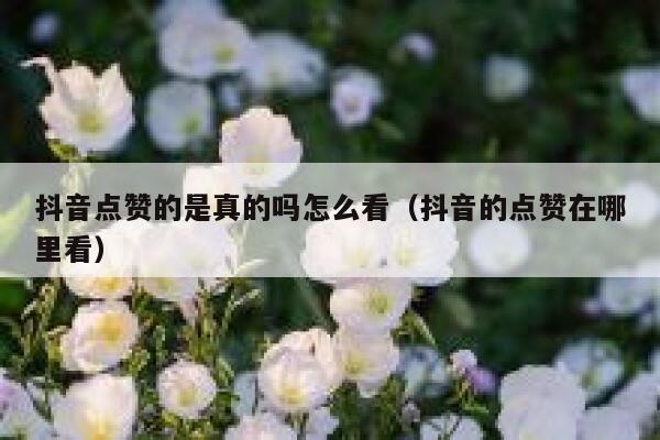 抖音点赞的是真的吗怎么看（抖音的点赞在哪里看） 第1张