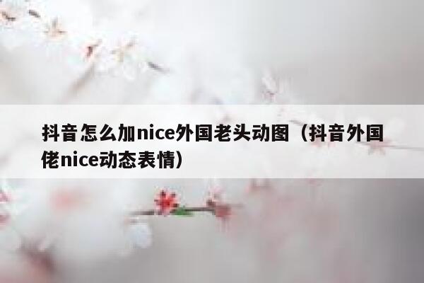 抖音怎么加nice外国老头动图（抖音外国佬nice动态表情） 第1张