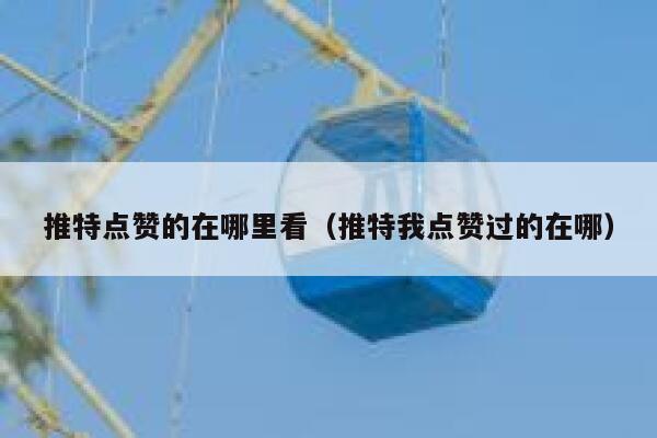 推特点赞的在哪里看（推特我点赞过的在哪） 第1张