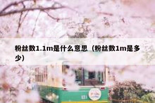 粉丝数1.1m是什么意思（粉丝数1m是多少） 第1张