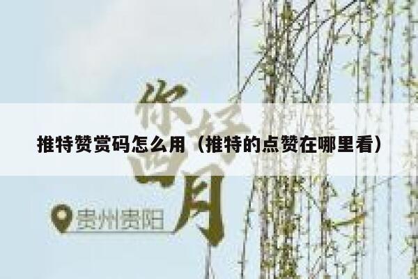 推特赞赏码怎么用（推特的点赞在哪里看） 第1张