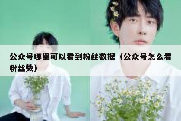 公众号哪里可以看到粉丝数据（公众号怎么看粉丝数） 第1张