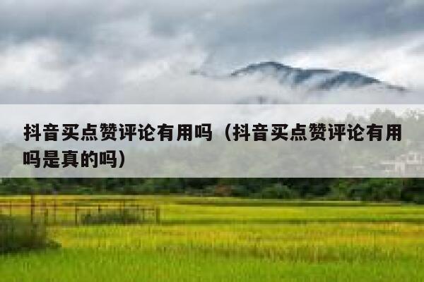 抖音买点赞评论有用吗(抖音买点赞评论有用吗是真的吗) 第1张 抖音买点赞评论有用吗(抖音买点赞评论有用吗是真的吗) 第1张
