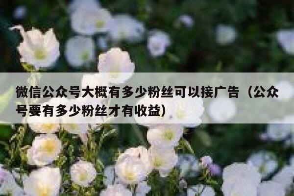 微信公众号大概有多少粉丝可以接广告(公众号要有多少粉丝才有收益) 第1张 微信公众号大概有多少粉丝可以接广告(公众号要有多少粉丝才有收益) 第1张