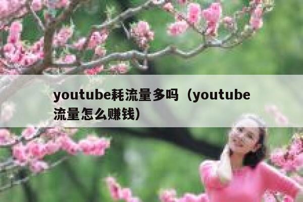 youtube耗流量多吗（youtube流量怎么赚钱） 第1张