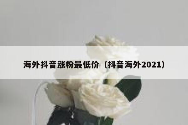 海外抖音涨粉最低价（抖音海外2021） 第1张