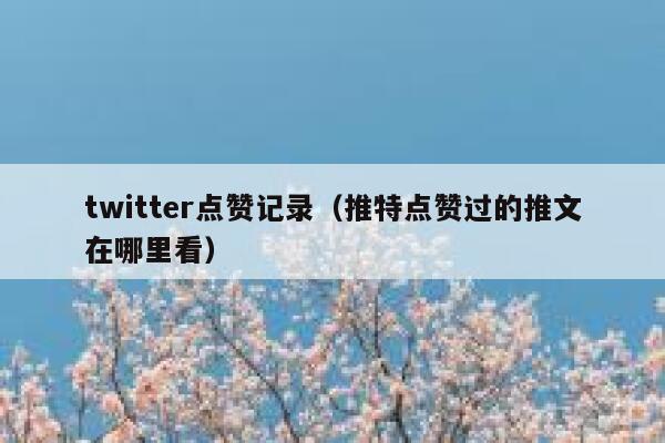 twitter点赞记录（推特点赞过的推文在哪里看） 第1张