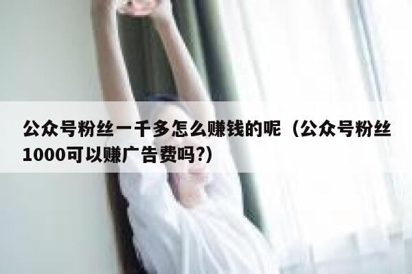 公众号粉丝一千多怎么赚钱的呢(公众号粉丝1000可以赚广告费吗?) 第1张 公众号粉丝一千多怎么赚钱的呢(公众号粉丝1000可以赚广告费吗?) 第1张