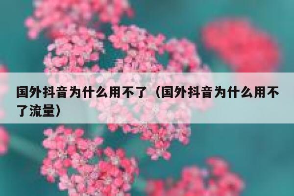 国外抖音为什么用不了（国外抖音为什么用不了流量） 第1张