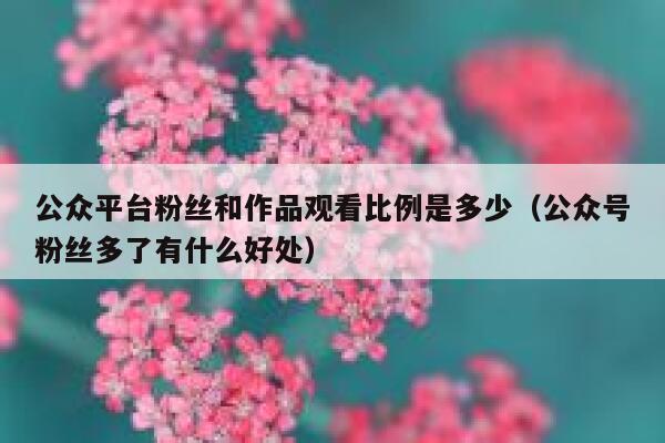 公众平台粉丝和作品观看比例是多少（公众号粉丝多了有什么好处） 第1张