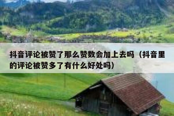 抖音评论被赞了那么赞数会加上去吗（抖音里的评论被赞多了有什么好处吗） 第1张