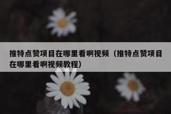 推特点赞项目在哪里看啊视频(推特点赞项目在哪里看啊视频教程) 第1张 推特点赞项目在哪里看啊视频(推特点赞项目在哪里看啊视频教程) 第1张