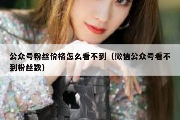 公众号粉丝价格怎么看不到（微信公众号看不到粉丝数） 第1张