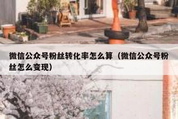 微信公众号粉丝转化率怎么算（微信公众号粉丝怎么变现） 第1张