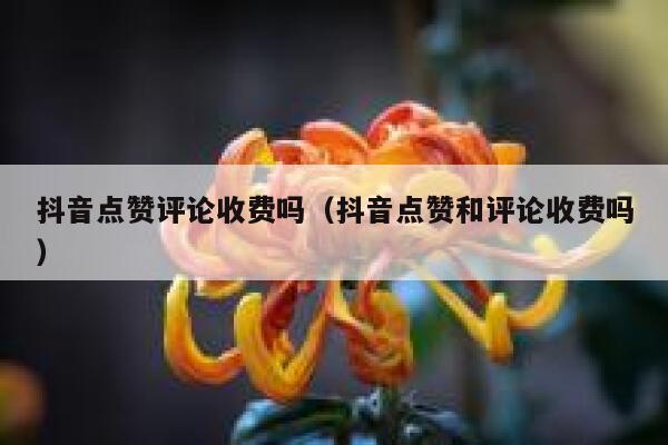 抖音点赞评论收费吗（抖音点赞和评论收费吗） 第1张