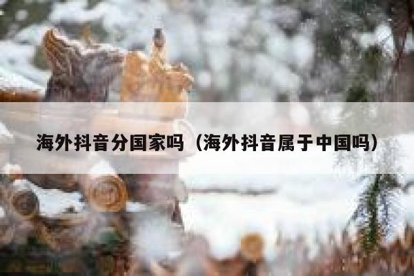海外抖音分国家吗（海外抖音属于中国吗） 第1张