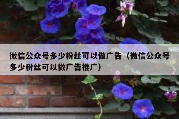 微信公众号多少粉丝可以做广告（微信公众号多少粉丝可以做广告推广） 第1张