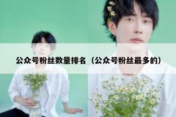 公众号粉丝数量排名（公众号粉丝最多的） 第1张