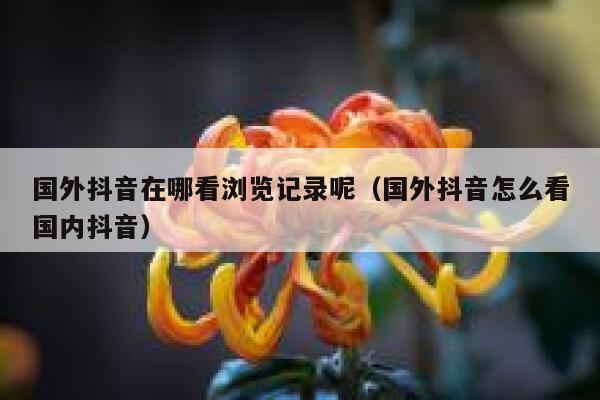 国外抖音在哪看浏览记录呢（国外抖音怎么看国内抖音） 第1张