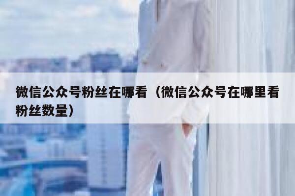 微信公众号粉丝在哪看（微信公众号在哪里看粉丝数量） 第1张