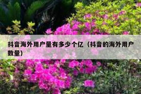 抖音海外用户量有多少个亿（抖音的海外用户数量） 第1张