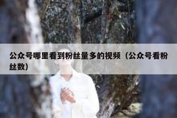 公众号哪里看到粉丝量多的视频（公众号看粉丝数） 第1张