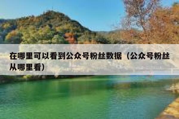 在哪里可以看到公众号粉丝数据（公众号粉丝从哪里看） 第1张