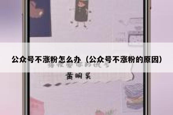 公众号不涨粉怎么办（公众号不涨粉的原因） 第1张