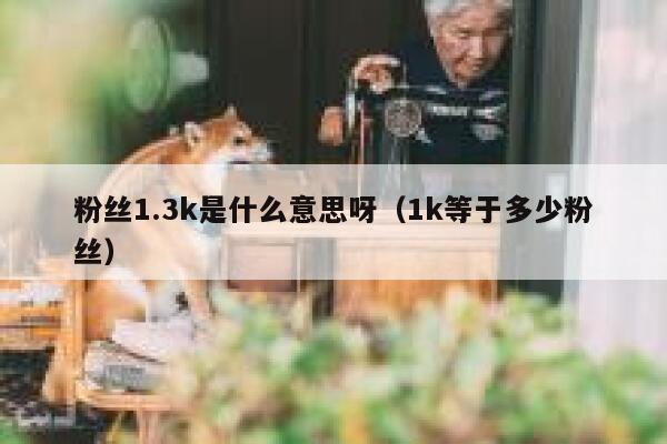 粉丝1.3k是什么意思呀（1k等于多少粉丝） 第1张