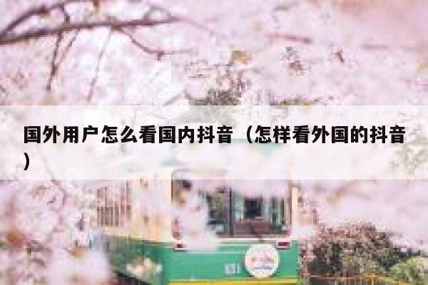 国外用户怎么看国内抖音（怎样看外国的抖音） 第1张