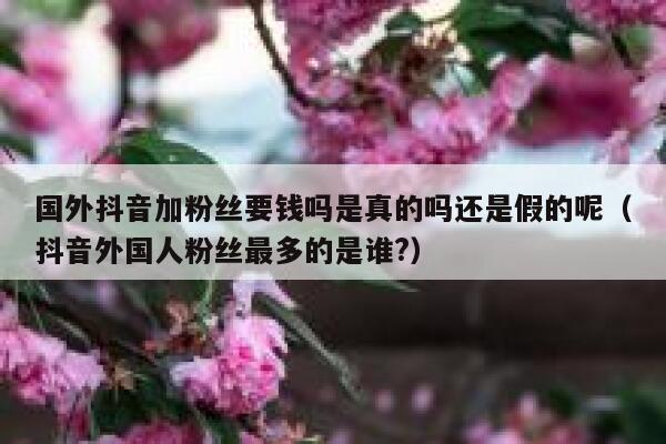国外抖音加粉丝要钱吗是真的吗还是假的呢(抖音外国人粉丝最多的是谁?) 第1张 国外抖音加粉丝要钱吗是真的吗还是假的呢(抖音外国人粉丝最多的是谁?) 第1张