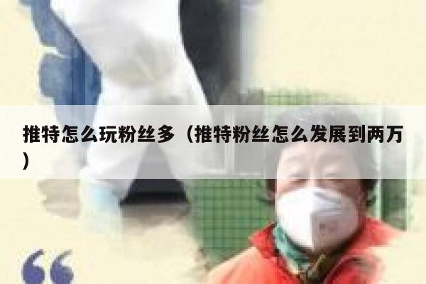 推特怎么玩粉丝多（推特粉丝怎么发展到两万） 第1张