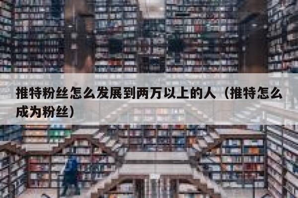 推特粉丝怎么发展到两万以上的人（推特怎么成为粉丝） 第1张