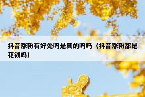 抖音涨粉有好处吗是真的吗吗（抖音涨粉都是花钱吗） 第1张