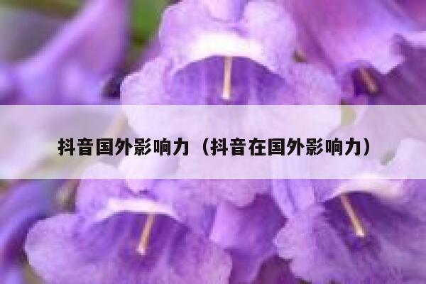 抖音国外影响力（抖音在国外影响力） 第1张