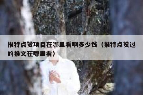 推特点赞项目在哪里看啊多少钱（推特点赞过的推文在哪里看） 第1张