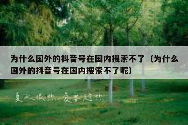为什么国外的抖音号在国内搜索不了（为什么国外的抖音号在国内搜索不了呢） 第1张