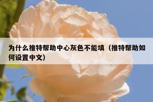 为什么推特帮助中心灰色不能填（推特帮助如何设置中文） 第1张