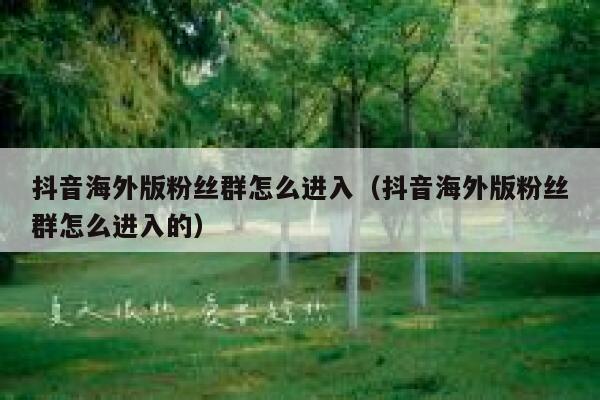 抖音海外版粉丝群怎么进入（抖音海外版粉丝群怎么进入的） 第1张