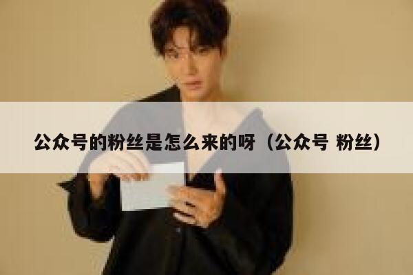 公众号的粉丝是怎么来的呀（公众号 粉丝） 第1张