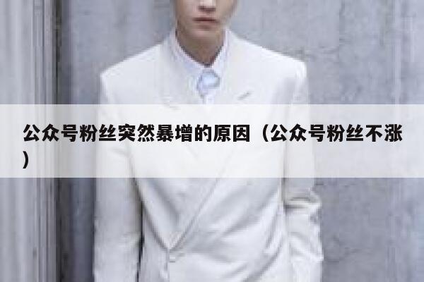 公众号粉丝突然暴增的原因（公众号粉丝不涨） 第1张