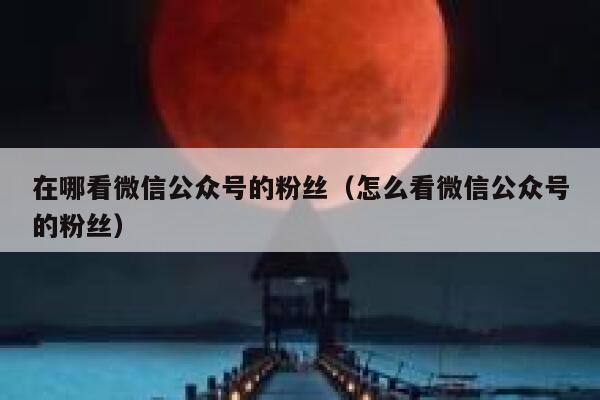 在哪看微信公众号的粉丝（怎么看微信公众号的粉丝） 第1张