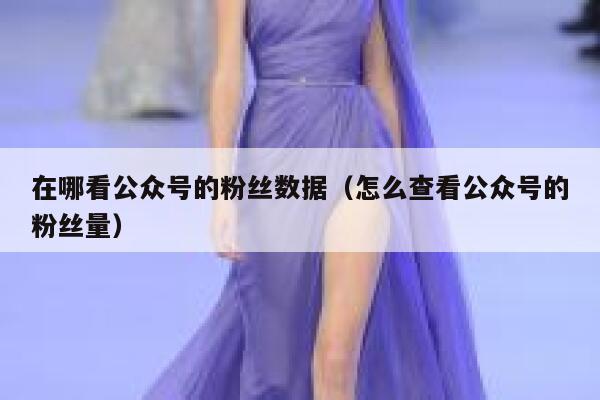 在哪看公众号的粉丝数据（怎么查看公众号的粉丝量） 第1张