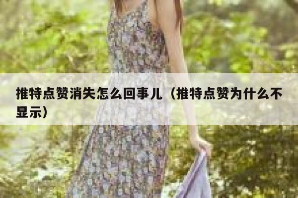 推特点赞消失怎么回事儿（推特点赞为什么不显示） 第1张