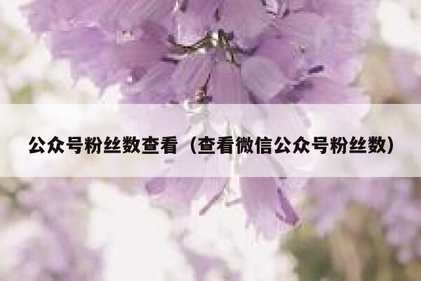 公众号粉丝数查看（查看微信公众号粉丝数） 第1张