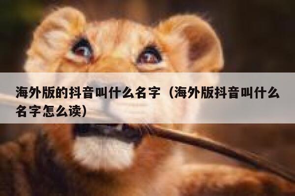 海外版的抖音叫什么名字（海外版抖音叫什么名字怎么读） 第1张
