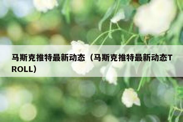 马斯克推特最新动态（马斯克推特最新动态TROLL） 第1张