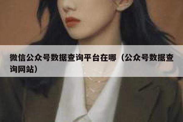 微信公众号数据查询平台在哪（公众号数据查询网站） 第1张