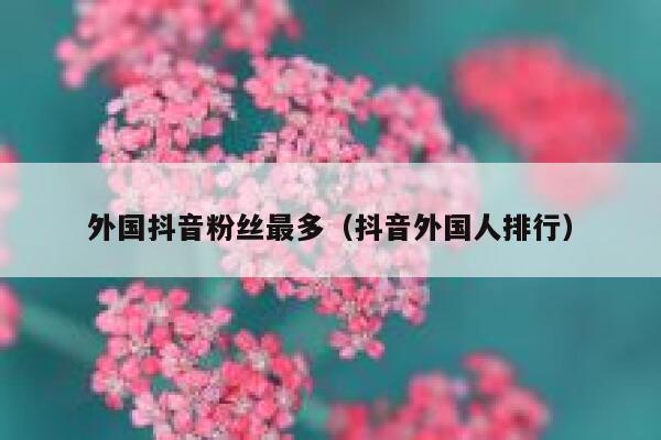 外国抖音粉丝最多（抖音外国人排行） 第1张