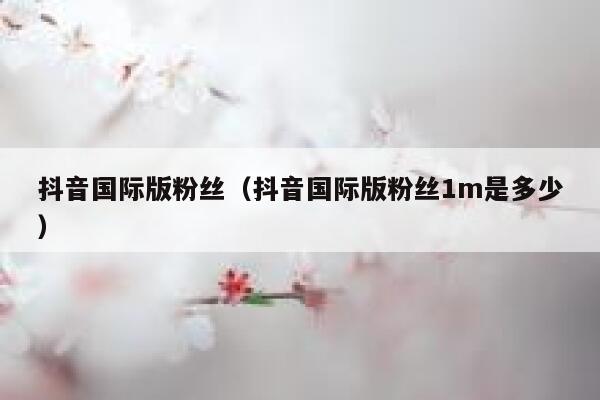 抖音国际版粉丝（抖音国际版粉丝1m是多少） 第1张
